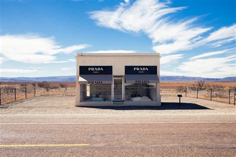 prada welfare|prada environmental impact.